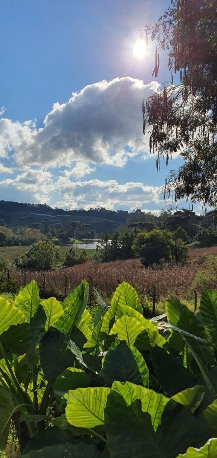 Willa Loft No Campo Proximo Ao Vale Dos Vinhedos Garibaldi Zewnętrze zdjęcie