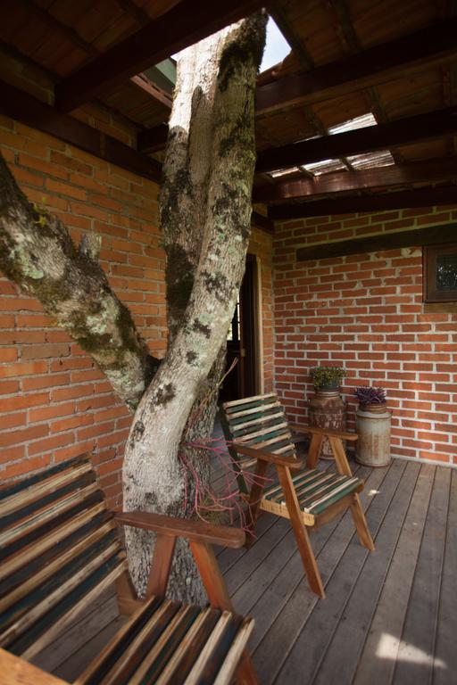 Willa Loft No Campo Proximo Ao Vale Dos Vinhedos Garibaldi Zewnętrze zdjęcie